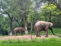 -北京野生动物园