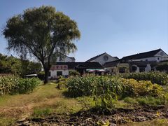 -莲花岛景区