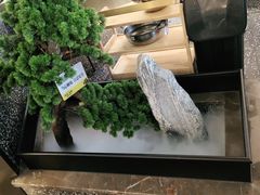 -洪氏嗨捞·猪肚鸡火锅(阳光天地店)
