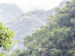 -太鲁阁公园