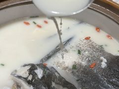 -全乐鱼馆·淳牌有机鱼直营店