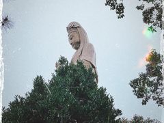 -紫竹林