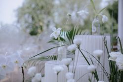 -琥珀婚礼策划AMBER WEDDING