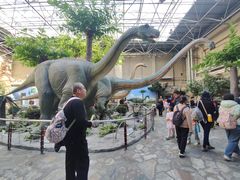 -国家自然博物馆