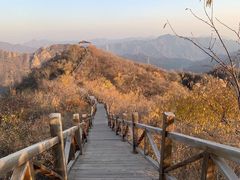 -大岭沟猕猴桃谷风景区