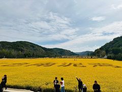 -南泥湾风景区