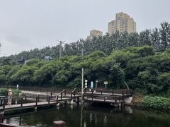 -前关湿地公园