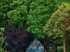 -山东大学(趵突泉校区)
