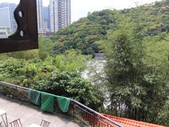 -鲤鱼塘农家山庄