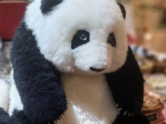 -轩客会(熊猫书店)