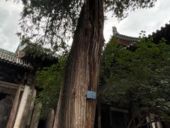 -窦大夫祠