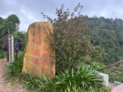 -海南热带雨林国家公园吊罗山景区