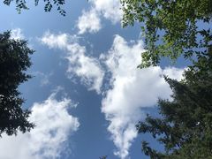 -黑龙江省森林植物园