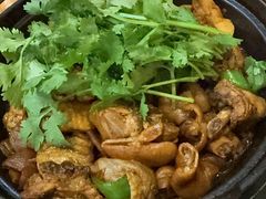招牌胡须佬鸡煲-胡须佬鸡煲四季火锅店(石厦西村直营店)