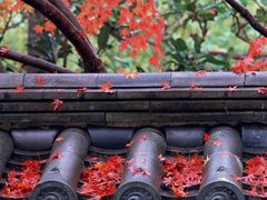 -窦圌山风景区