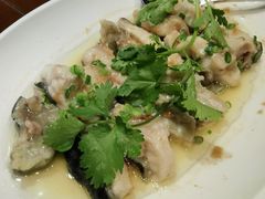 -金成潮菜博物馆(海珠湿地店)