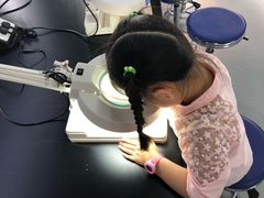 -中国地质大学逸夫博物馆