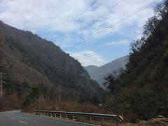 -卧龙自然保护区