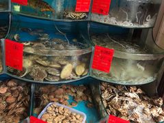 -四海蒸鲜蒸汽海鲜自助(北戴河店)