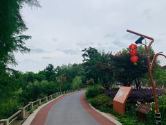 -青山湖景区