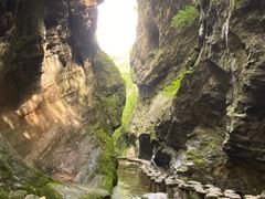-牛背梁国家森林公园