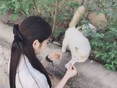 -潭柘寺景区
