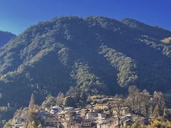 -杨家堂村
