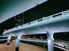 -演武大桥观景平台