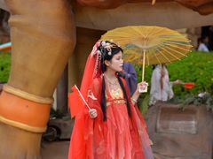 -世界恐龙谷景区