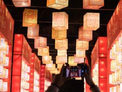 -欢乐海岸椰林沙滩-2025湾区超级灯会