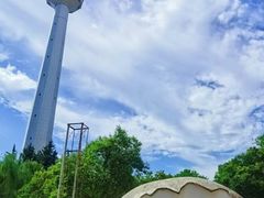 -陕西自然博物馆