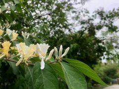 -永定河休闲森林公园