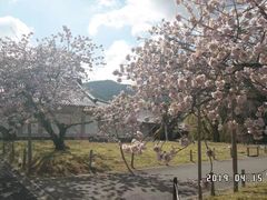 -醍醐寺