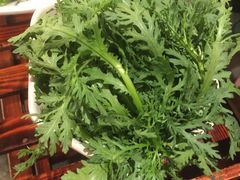 茼蒿-额尔敦草原涮羊肉·烧烤(冻青树总店)