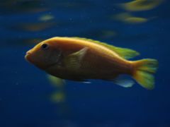 -泉州海丝野生动物世界