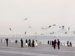 -东港音乐喷泉广场