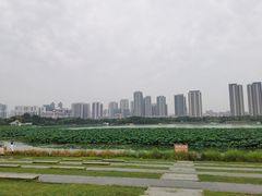 -月湖风景区