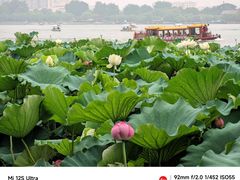 -济南大明湖景区