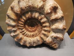 -湖南省地质博物馆