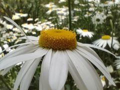 -昆山城市生态森林公园