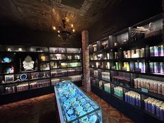 -雪灵魔法世界SHELLY’S TAROT(大良桂畔里店)