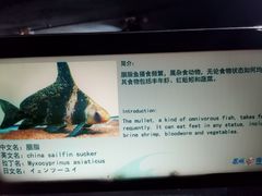 -苏州海洋馆