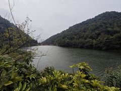 -桃花岭景区