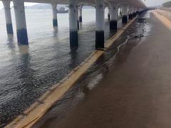 -演武大桥观景平台