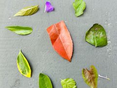 -木子山庄·安徽省老字号·中国炖锅宴