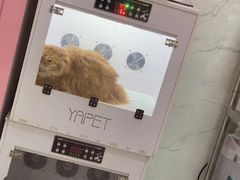 -狗不理喵子(百富路店)