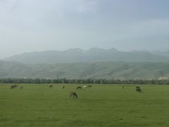 -新疆那拉提国家旅游度假区