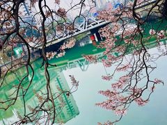 -成都市活水公园