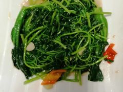 -广东胜利宾馆西关粤中餐厅
