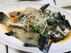 清蒸虎斑-老六海鲜城